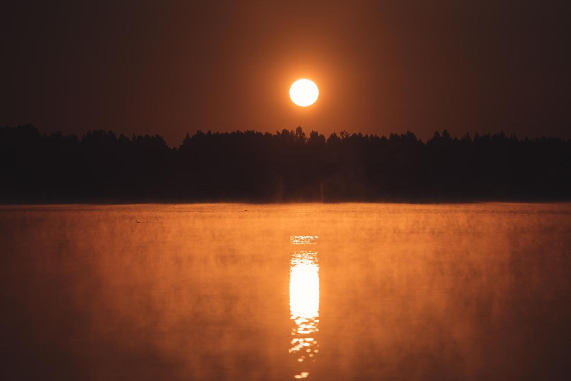 Million Star Latgale Laagriplats Nastrova